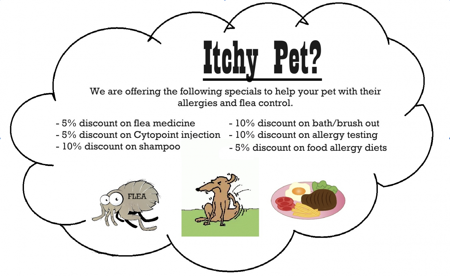 itchy pet
